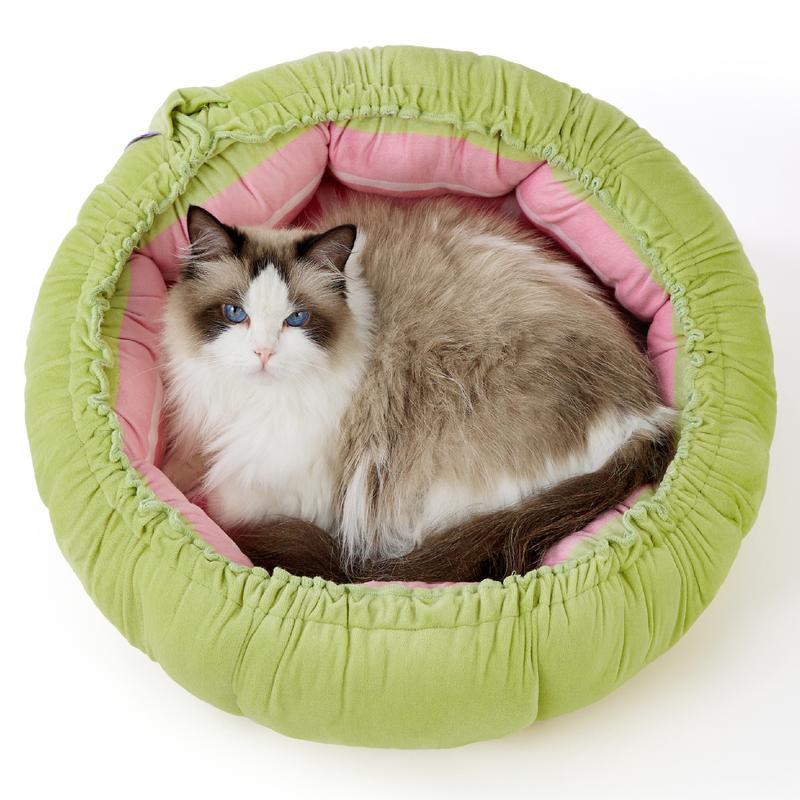 Fruity Dog Bed