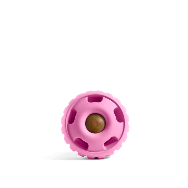 The Pupsicle