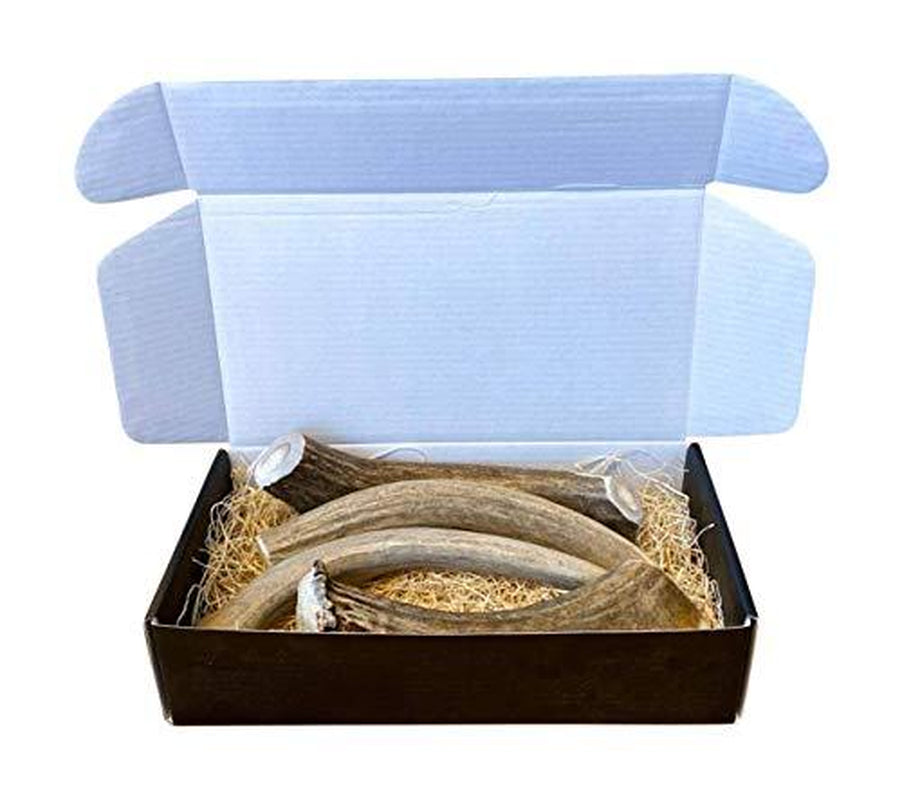 Premium Deer Antler Dog Chews