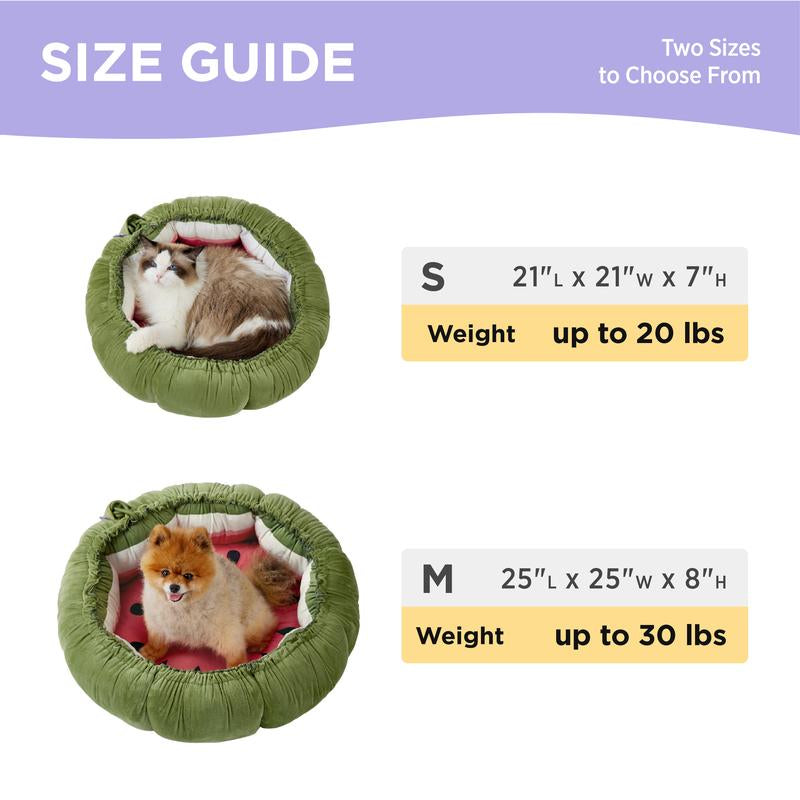 Fruity Dog Bed