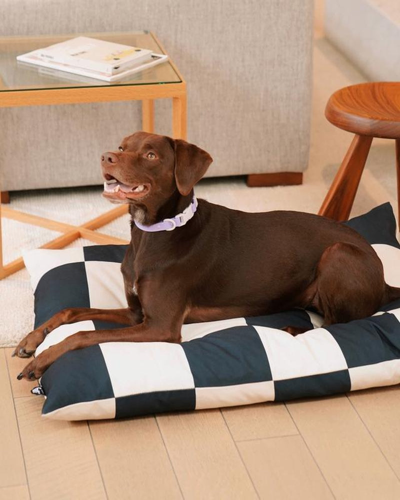 The Fritz Dog Bed - Stylish Design, Machine Washable, and Scratch-Proof