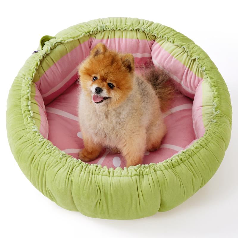 Fruity Dog Bed