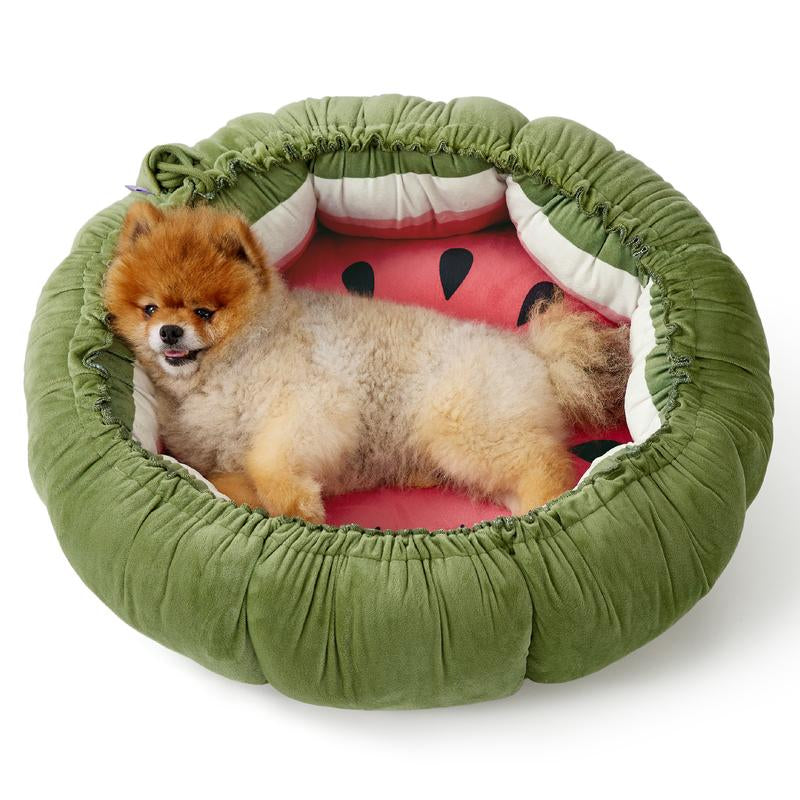 Fruity Dog Bed