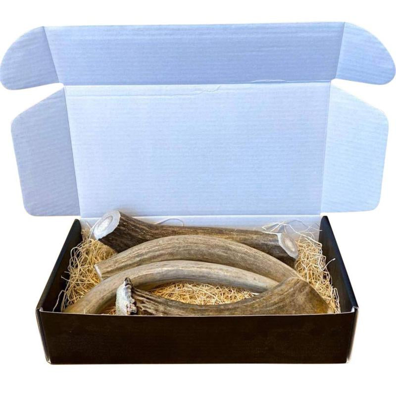 Premium Deer Antler Dog Chews