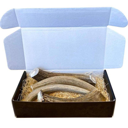 Premium Deer Antler Dog Chews