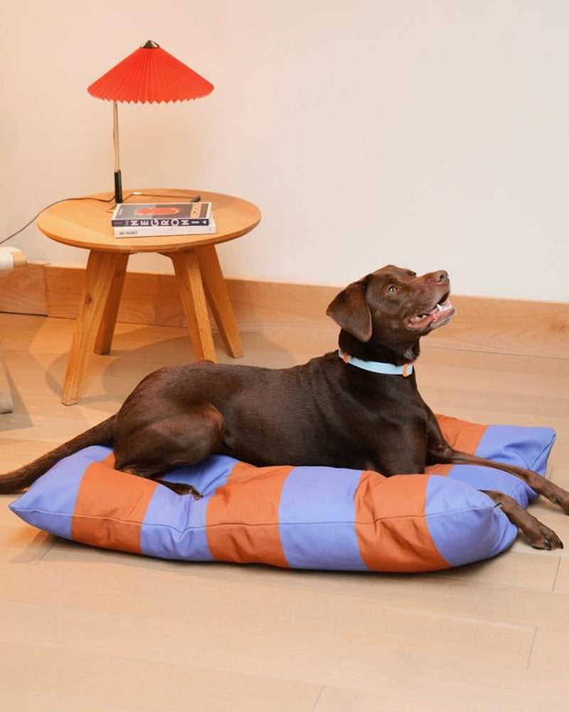 The Fritz Dog Bed - Stylish Design, Machine Washable, and Scratch-Proof