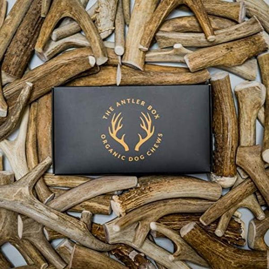Premium Deer Antler Dog Chews