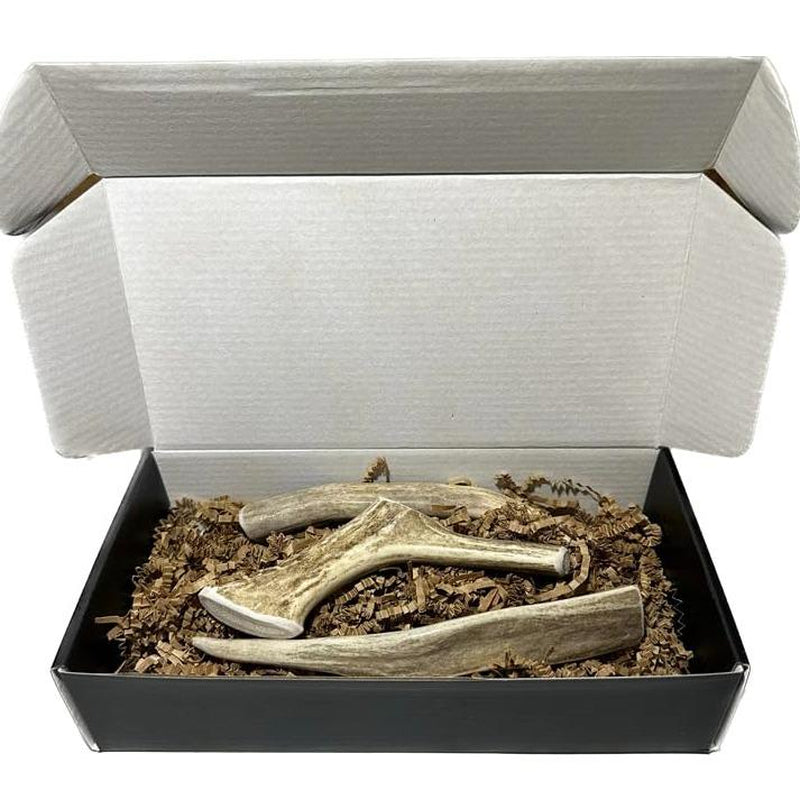 Premium Deer Antler Dog Chews