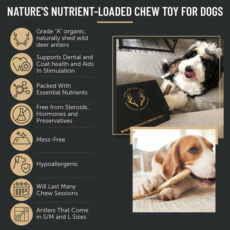 Premium Deer Antler Dog Chews