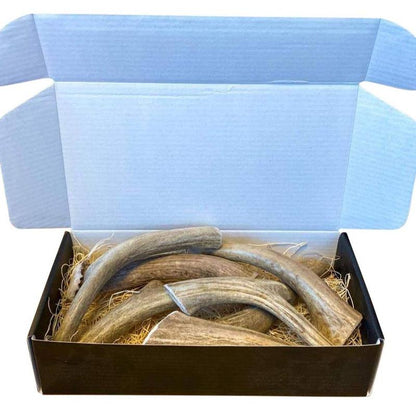 Premium Deer Antler Dog Chews