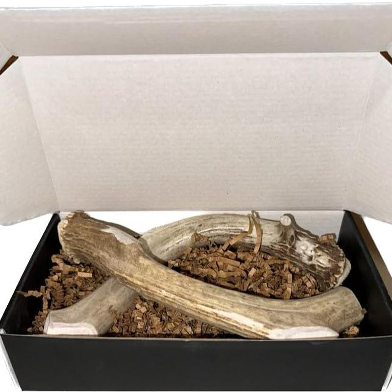 Premium Deer Antler Dog Chews